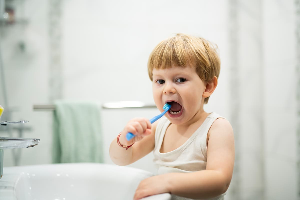 Early dental care for toddlers in waipahu a parent guide blog
